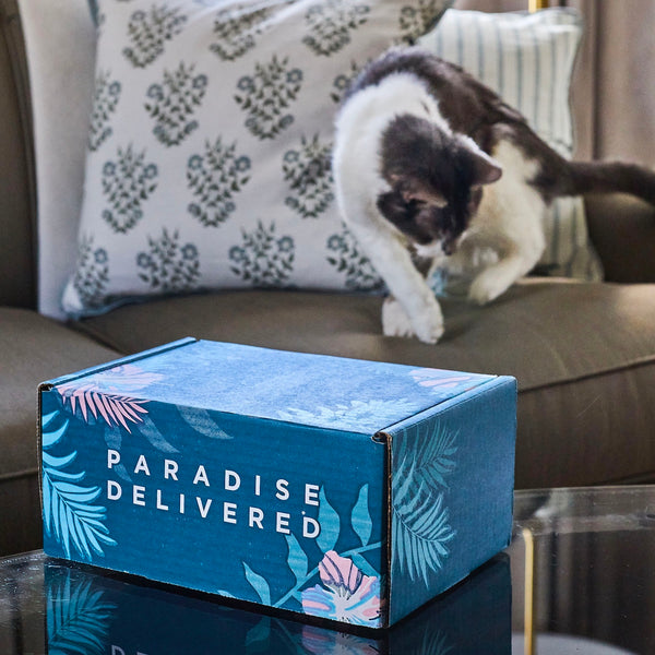 𝐂𝐚𝐭 𝐌𝐨𝐦 𝐌𝐲𝐬𝐭𝐞𝐫𝐲 𝐁𝐨𝐱 (10+ Items for cats & their amazing moms!)